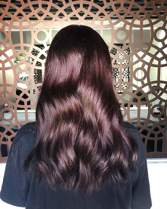 Subtle Burgundy Hair Idea