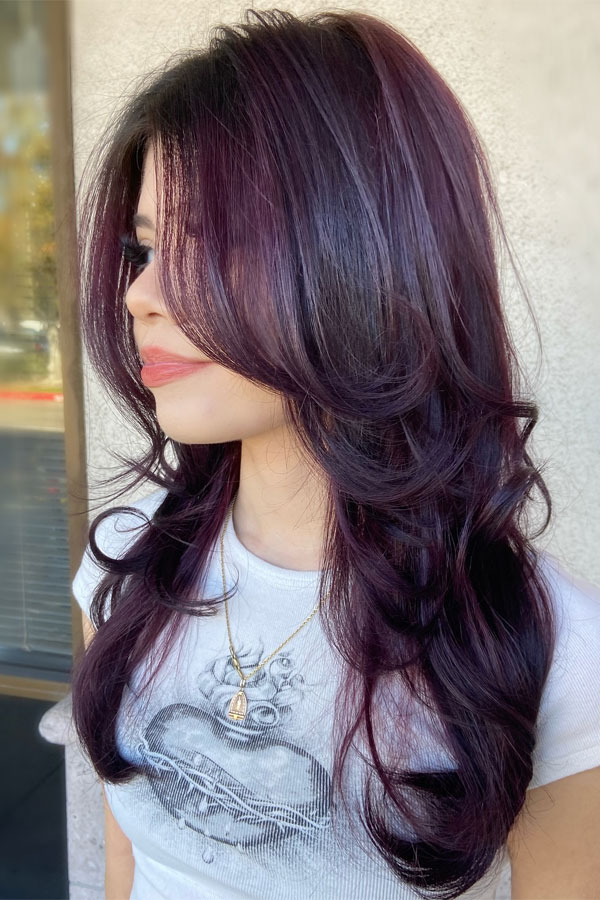 deep plum hair colour, autumn hair colour