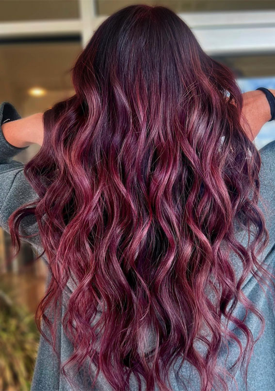 winter berry plum, plum hair color, hair color , hair color for bruentte