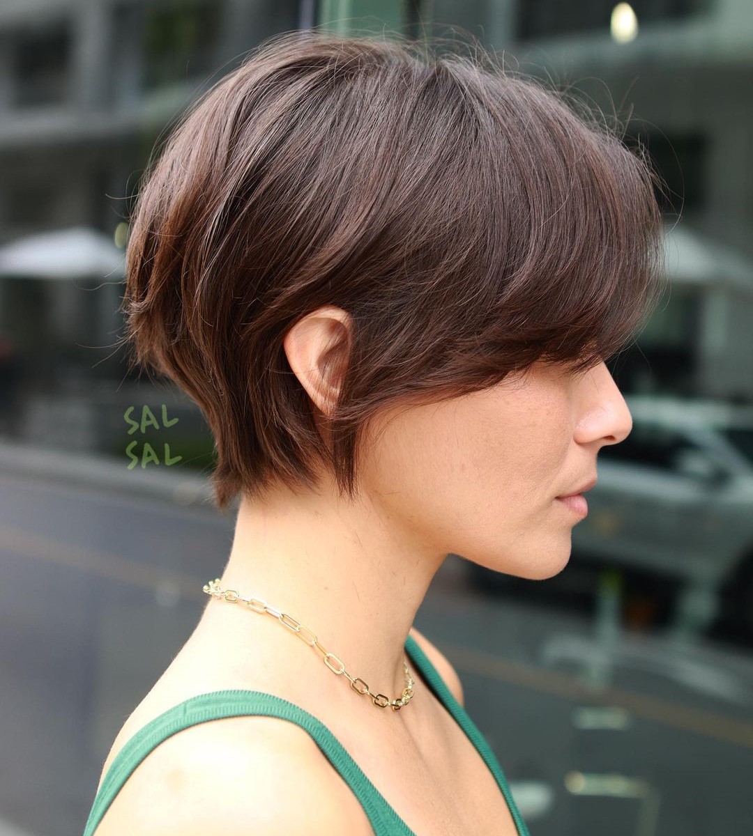 Medium Length Dark Brown Pixie