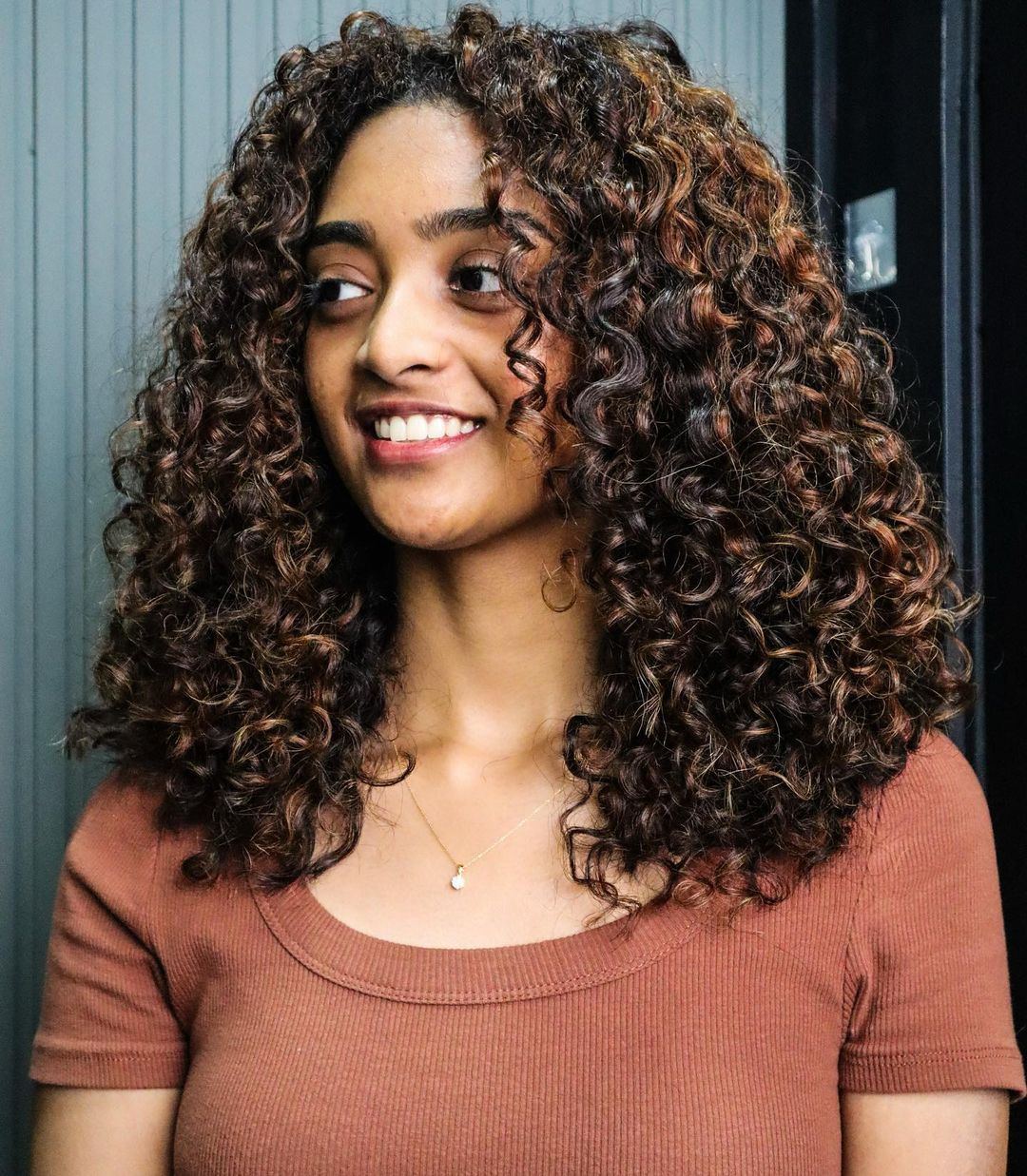 Thick Curly Brown Hair with Chestnut Highlights