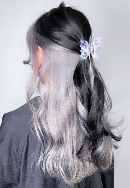 Black Hair with Silver Hue Underneath