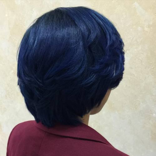 Dark Blue Pixie Bob