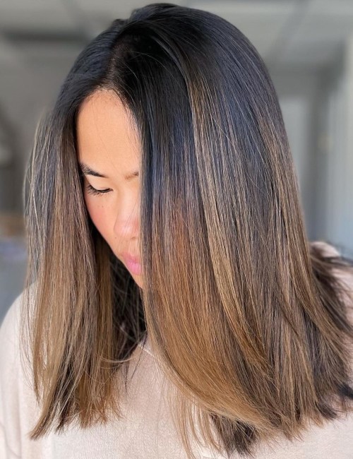 Chestnut Brown Ombre on Asian Straight Hair